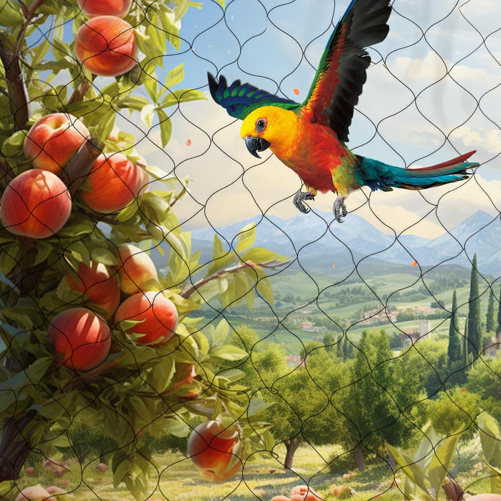 Bymaocar 100"X50" Nylon Netting for Bird Poultry Aviary Anti Bird Mesh Collect Leaves Net Practical & Secure Nautical Game Décor