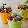 Cute Hedgehog Mushroom Set Micro Landscape Ornaments for Moss Terrariums Fairy Garden Decor, Miniature Decor Figurine, Mini Statue, Potted Plant