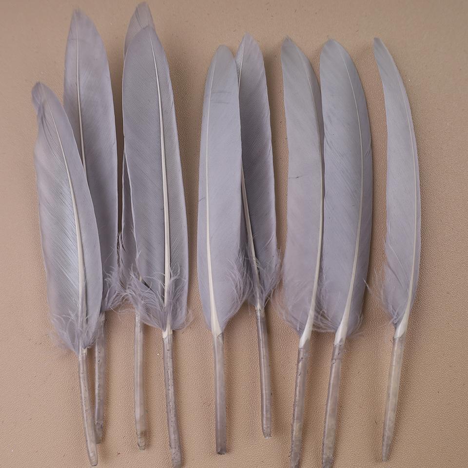 Duck Feathers for Clothes Handicraft Accessories White Golden Black Pink Peacock Goose Feather Plumas Handicraft Article
