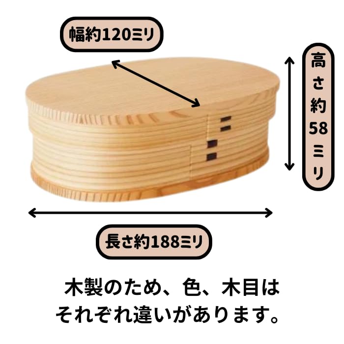 Odate Kougeisha Akita Sugi Magewappa Oval Bento Box (Medium) 640ml Made In Japan 2540