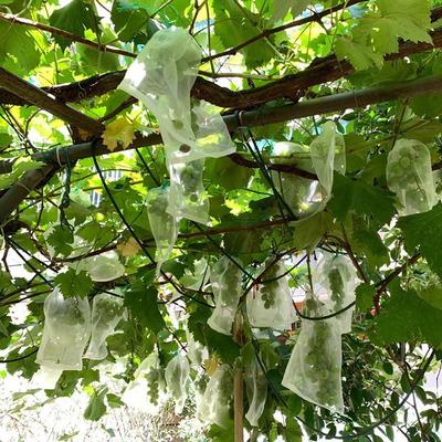 Nylon Netzak Fruit Insectenzak Vogelzak Rijst Weekzak Zaadzak Kweekzak Garen Netzak Inpakken