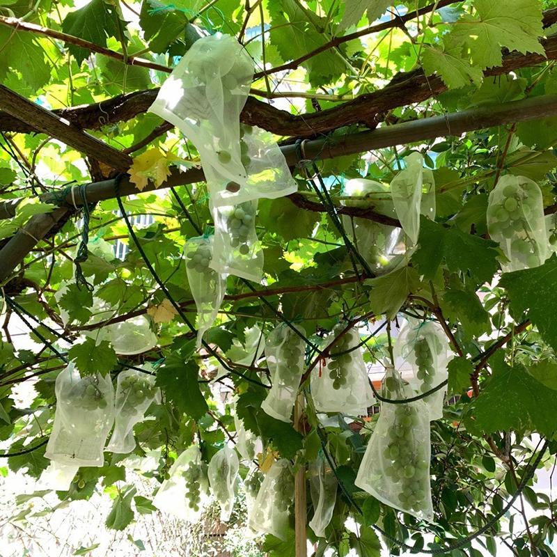 Nylon-Netzbeutel, Obst-Insektenbeutel, Vogelbeutel, Reis-Einweichbeutel, Samenbeutel, Zuchtbeutel, Garn-Netzbeutel, Absacken