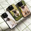 Huse pentru telefoane – Huse tip bumper pentru telefon