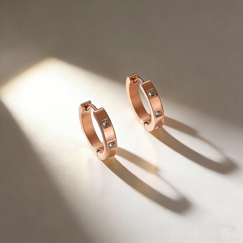 Women's Buckle Style Stainless Steel Earrings with Micro Inlaid Zircon Jewelry, Fashionable European and American Design