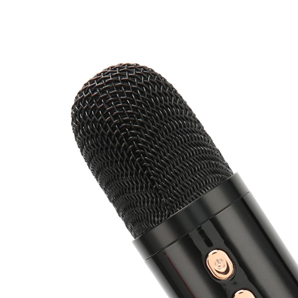 Karaoke Machine HiFi Stereo Sound Portable Speaker with Microphone for Kids Gifts