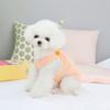 Jaro a léto Nové oblečky pro domácí mazlíčky Oblečení pro Teddy pro malé psy Řemínek na záda vafle Bear Factory Velkoobchod s oblečením pro domácí mazlíčky