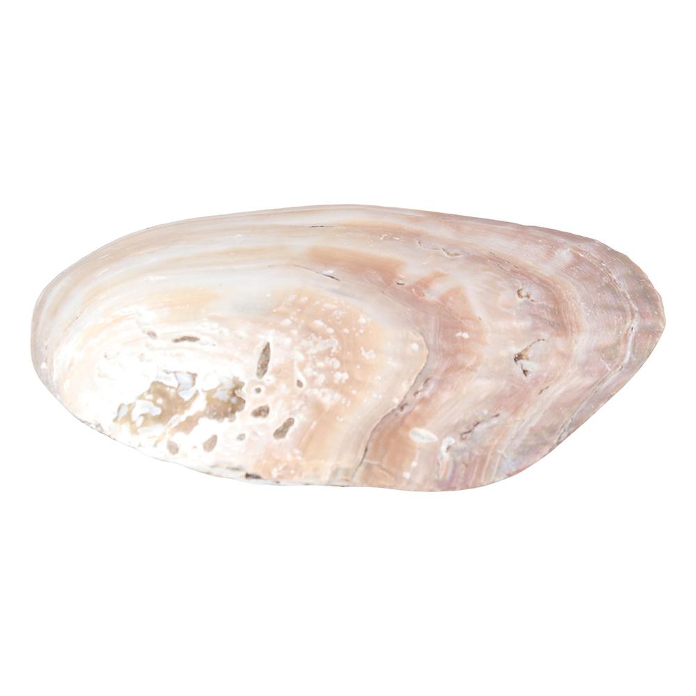 Forme Couleur Vibrante Décoration Intérieure Plateau de Rangement pour Bijoux Support de Rangement pour Artisanat d'Art Récipient de Rangement