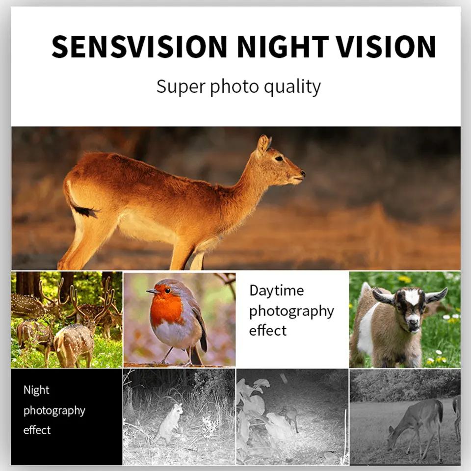 Nachtversion Wildkamera für die Jagd IP66 wasserdichte versteckte Außenkamera mit drahtlosem Detektoralarm, 1080p 30fps