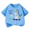 1pcs Kids 100 Cotton Tee Summer Cartoon Fashion Tshirt Student Shortsleeveds Dinosaur Print Tops Children Round Neck Tshirts