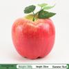Plastic Red Fuji and Red Delicious Fake Apple Display Decoration Prop