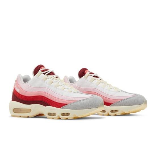 Nike Air Max 95 'Anatomy Of Air' DM0012-600