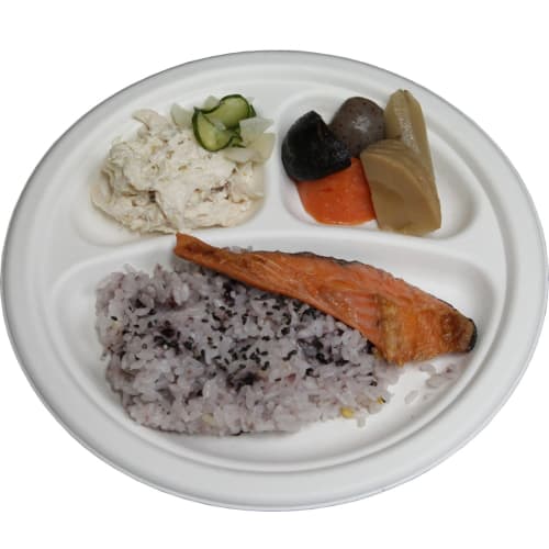 Disposable, Durable Paper Plates, Eco-friendly and Stylish, E-mold, 23cm, with Dividers, P012, 50 Count