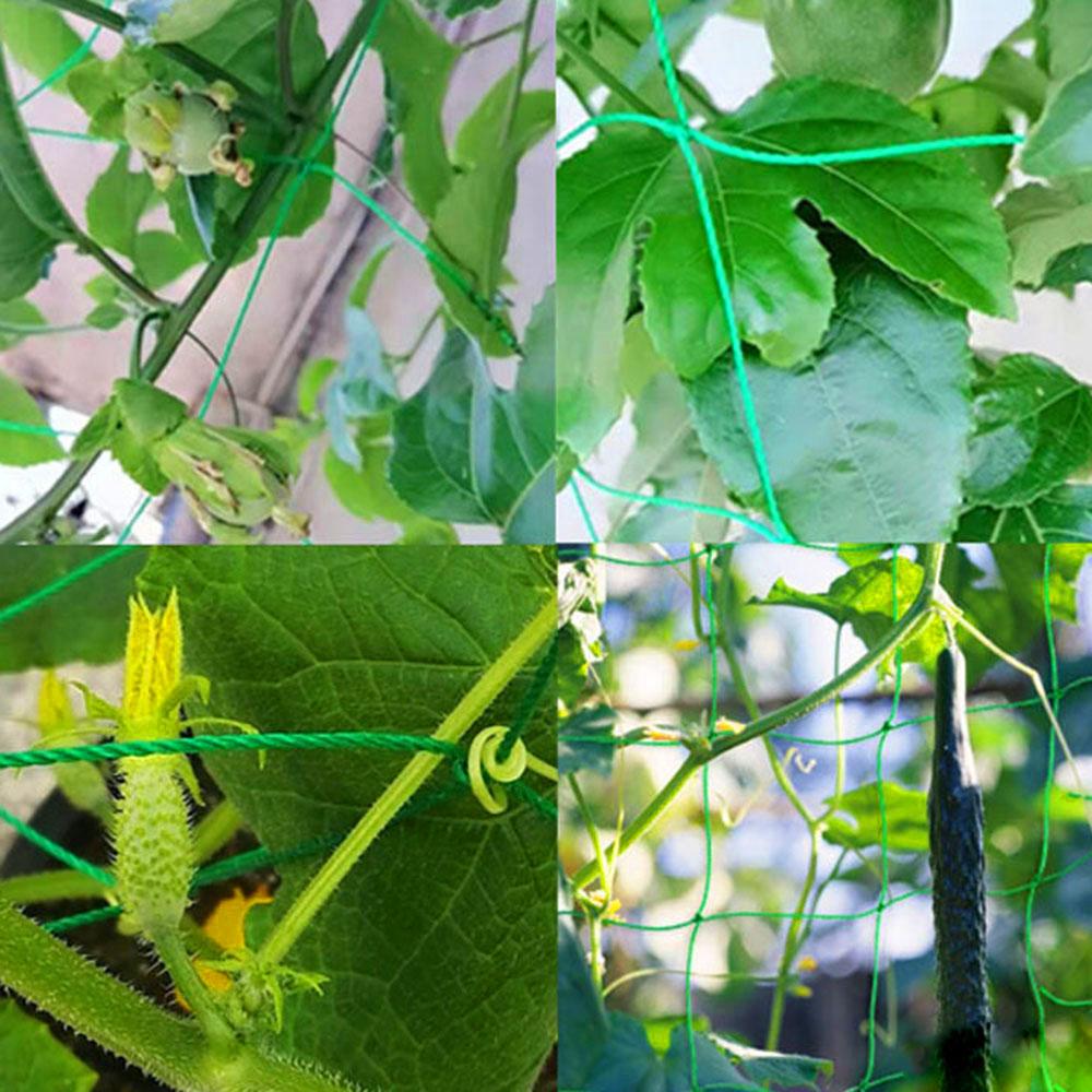 Planting Specialized Vine Nets For Fruits And Vegetables, Green Plant Supports, Vegetable Gardening Climbing Nets