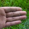 Trap Fishing Net Fishnet Floating Throwing Fishing Explosion Hook Mesh Trap Net Supplies Fishing Accessories