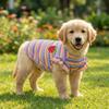 Ruffle Striped Dog Striped Vest Breathable Puppy Skirt Cute Two Legged Puppy Vest  Spring Summer