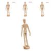 Holz-Mensch-Künstler-Mannequin Zeichenmodell Unisex Mann Frau Skizzierwerkzeug