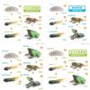 Detailed Darwin Frog Growth Cycle Model Ideal For Educational Display And Learning