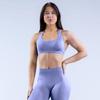 Seamless Waist Yoga High Waist Butt Lifting Compression Sports Bra Shorts Leggings Set Women Running Training Outfit