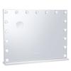 Hollywood Vanity Mirror With Lights w/ USB Type C Desktop Wallmount 23.6in