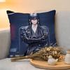 Cushion Cover  Linen  SkinFriendly Soft Decorative Case For Sofa Home Decor Hot Games PPath To Nowhere Pillow cover