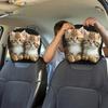 Personalized Car Interior Decor 2Pcs Cute Cat Headrest Covers, Breathable Auto Seat Covers Protectors, Stretchy Universal Accessories for SUV