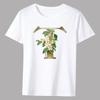 Men's Classic T-shirt Casual O-neck Golden Flower Lettern Printing Pattern Series Commuter All-match Breathable White Shirt