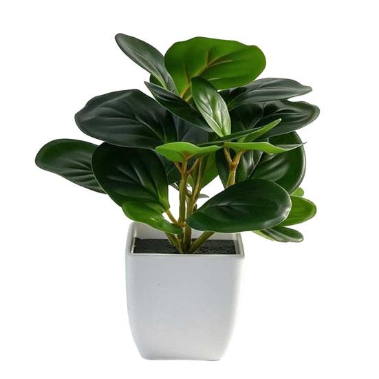 Desktop Ornament Home Decor Ring Plastic Green 1 Pc