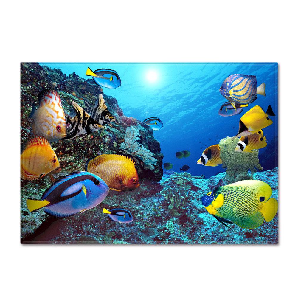 

Ковры с морскими рыбами 3D Дельфины Акулы Ковер для гостиной Ковер для спальни для мальчиков Домашний напольный коврик Мягкий кухонный коврик Придверный коврик 40x60cm