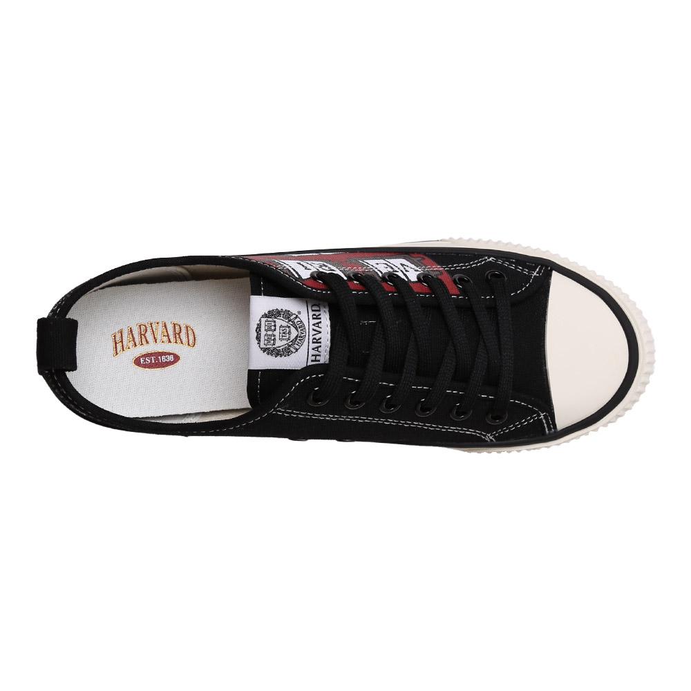 Harvard Shoes Bellus Canvas Sneakers Black