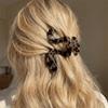 Matte Finish Shark Clip Casual Ponytail Clip Simple Acrylic Hair Claw  Daily