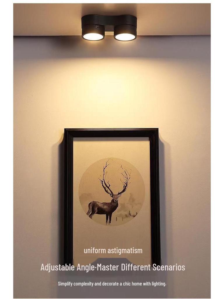 Adjustable LED Double-Head Smart Ceiling Spotlight for Living Room and Aisle