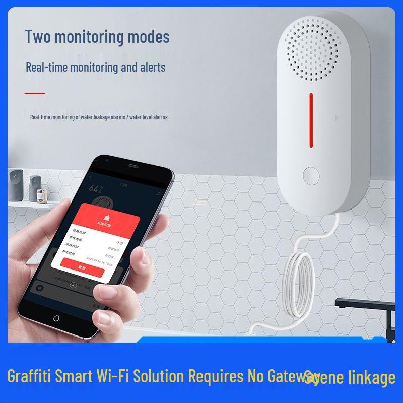Graffiti WiFi Sound & Light Water Leak Detector - Immersion Alarm & Remote Monitoring Speaker. Advisory Service