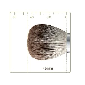 Authentic Kumano Brush Chikuhodo Silver Fox Powder Brush with Black Handle (R-P8) Hiroshima Regular Series Makeup Brush CHIKUHODO (Black)