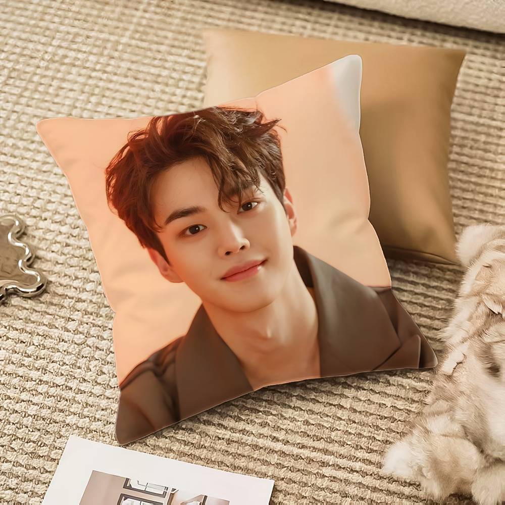 Наволочка Song K-kang Защита от пылевых клещей Невидимая молния Диван-кровать 20x20Inch