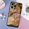 Чехол для мобильного телефона Apple IPhone15Plus Чехол для мобильного телефона с абстрактной картиной Густава Климта Отправил фотографию.