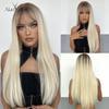ALAN EATON Ash Grey Brown Mixed Synthetic Wigs for Women Long Straight Middle Part Hair Wigs Daily Cosplay Use Heat Resistant