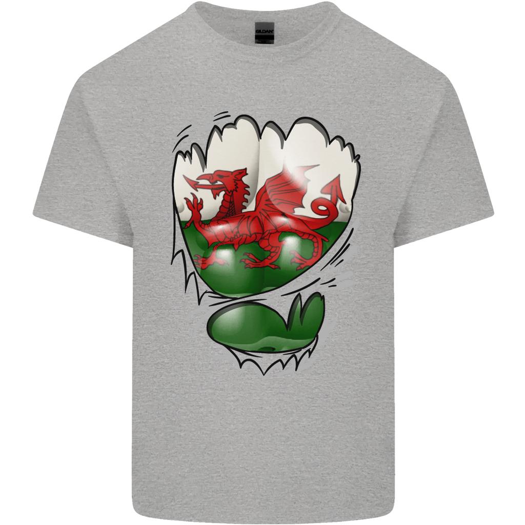 Gym The Welsh Flag Ripped Muscles Wales Unisexs Light Cotton TShirt