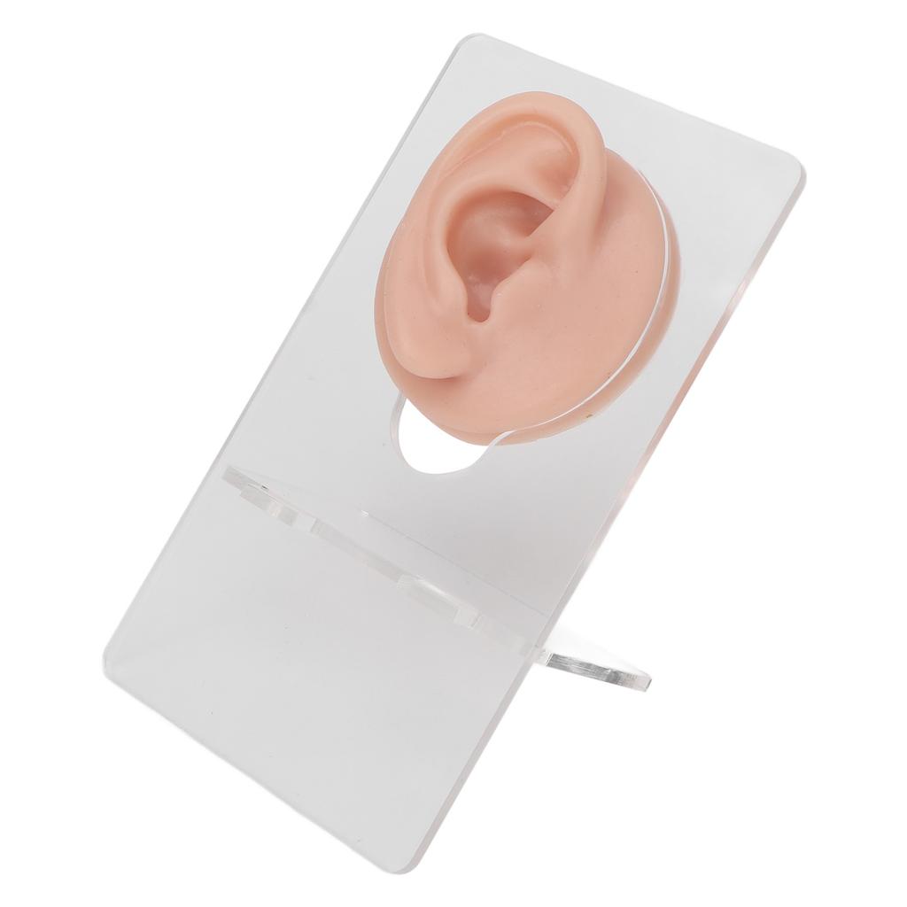 3 Pair Soft Silicone Ear Model Acrylic Bracket Human Ear Model for Piercing Practice Earring Display