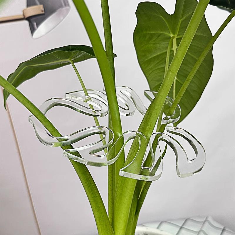 Transparent Plant Stem Fixer and Gatherer for Potted and Art Flowers - Monstera Clip Support