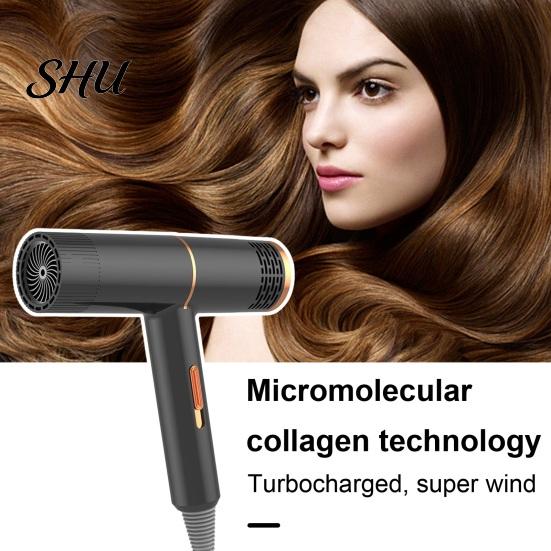 Hair Dryer with Salon-level Ion Technology Household 800W High-Power Blue Light Negative Care Blow Collagen-infused With Protection Women Men for Mute