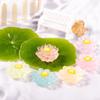 Luminous Lotus Moss Microlandscape Resin Small Ornaments Landscaping Simulation Lotus Decorative Accessories