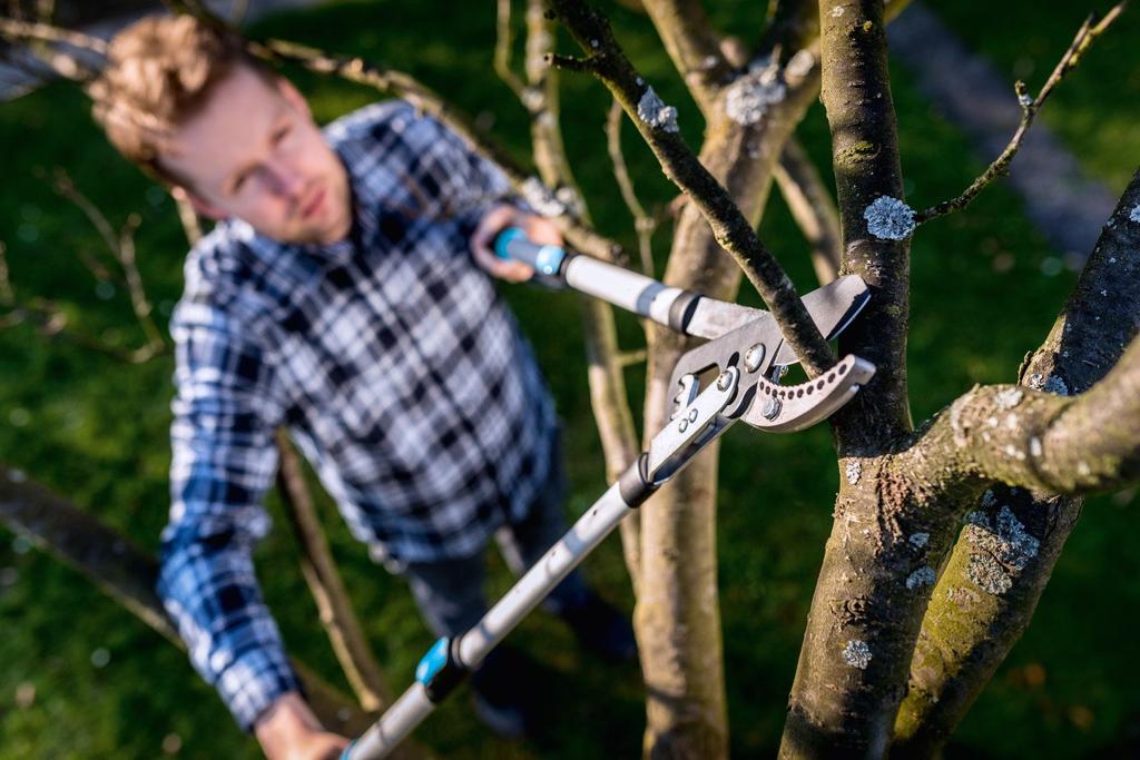 Ideal Telescopic Anvil Pruning Shear - C 40-412