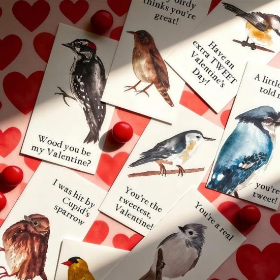 8 st Fågel Alla hjärtans dag-kort Söta Hälsningskort med Fågeltema för Fågelfantaster Unika Fågelpar-kort Jubileum Alla hjärtans dag-present till Honom Hennes