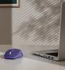 WM-450 multi device mouse blue