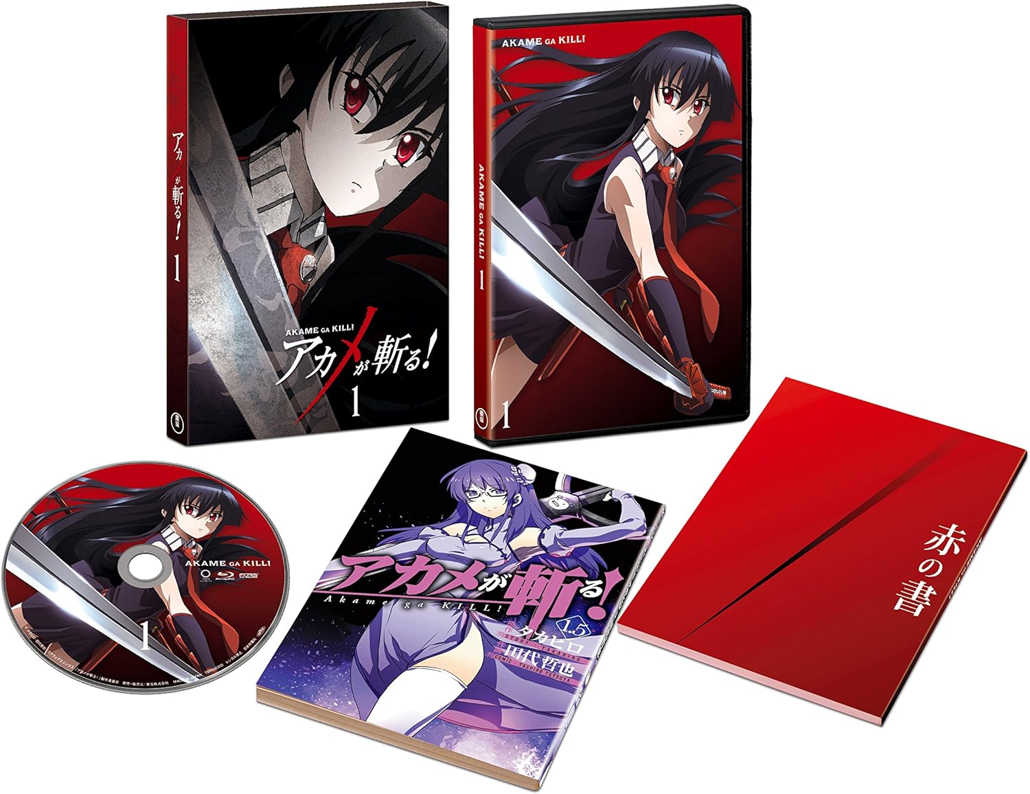 

DVD DVD Akame Ga Kill vol.1 DVD shokaise TDV24641D Japan AnimeGame Used