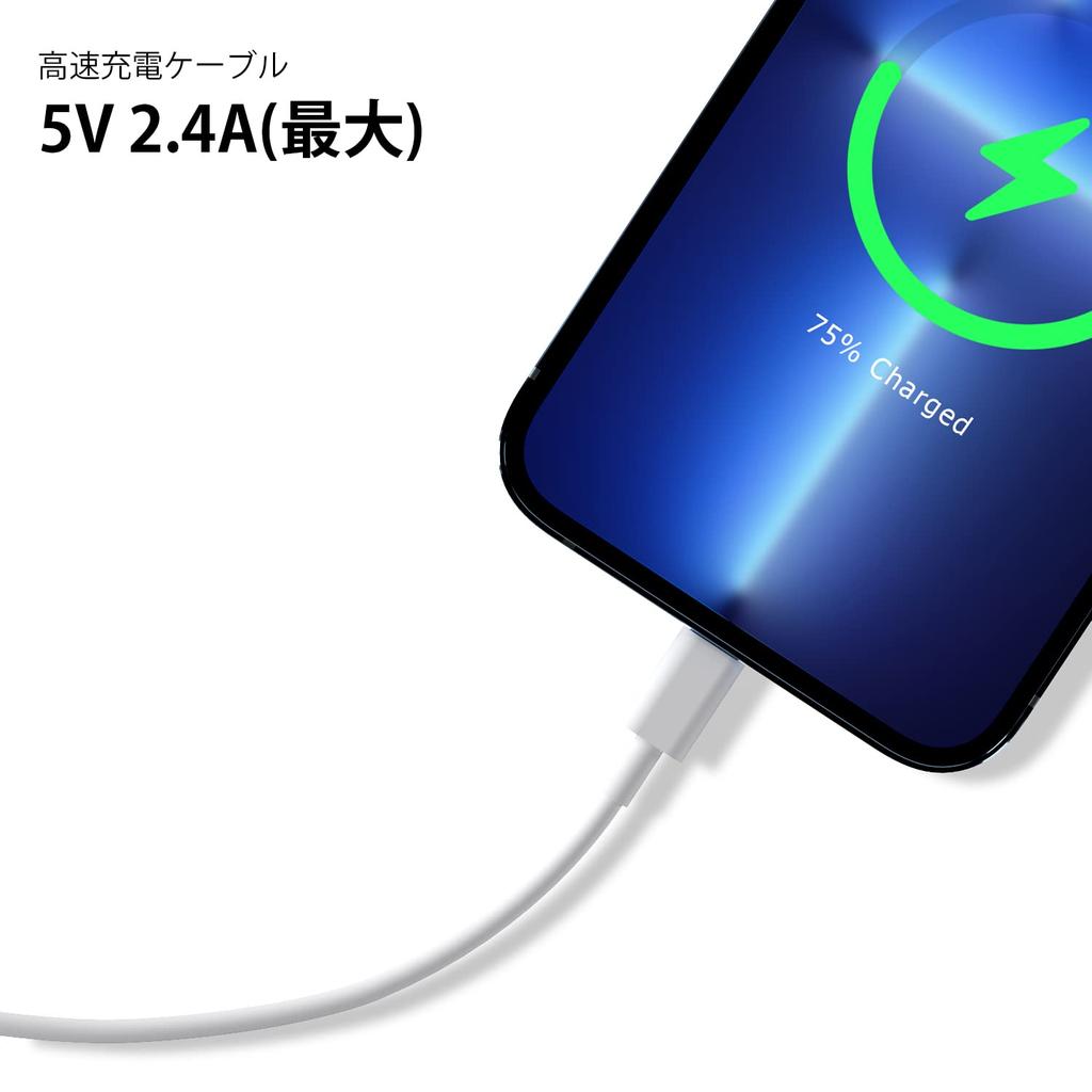 BSTOEM Genuine iPhone Charger Cable Lightning Cable USB To Lightning Cord Fast Charging Durable iPhone Power Cord for iPhone Ipad Air Mini 3m2