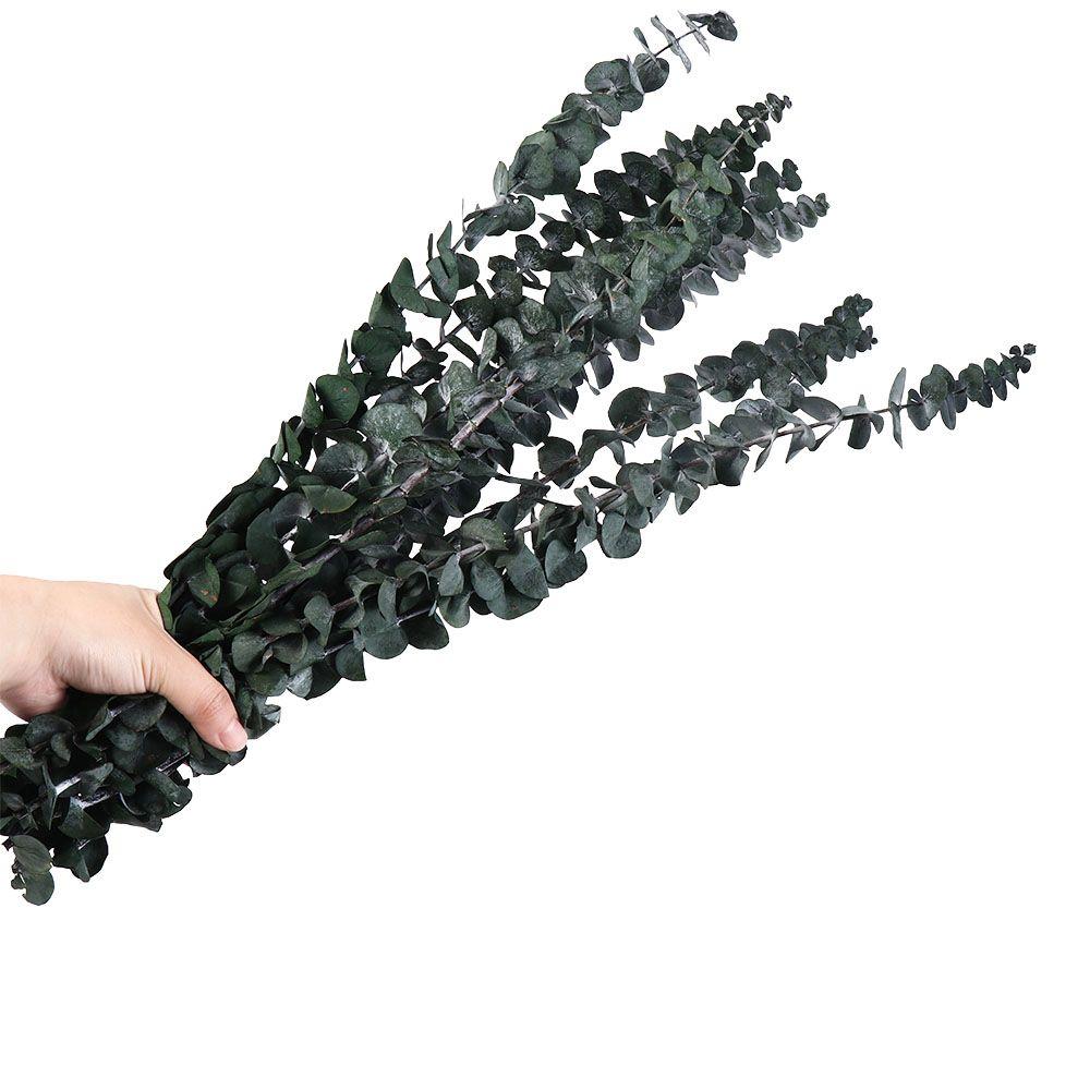 10 Pcs Real Leaves Hanging Dried Eucalyptus 22 inch Green Artificial Plants Flowers Made From Fresh Eucalyptus Large