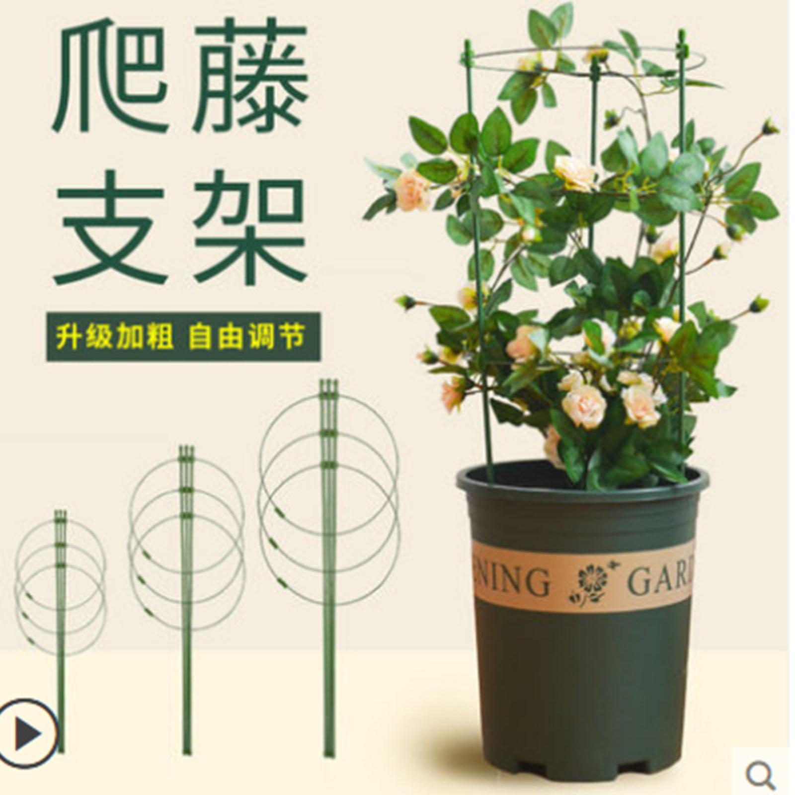 Вьющиеся растения , Опора для вьющихся растений , Каркас для вьющихся растений в цветочном горшке One Size