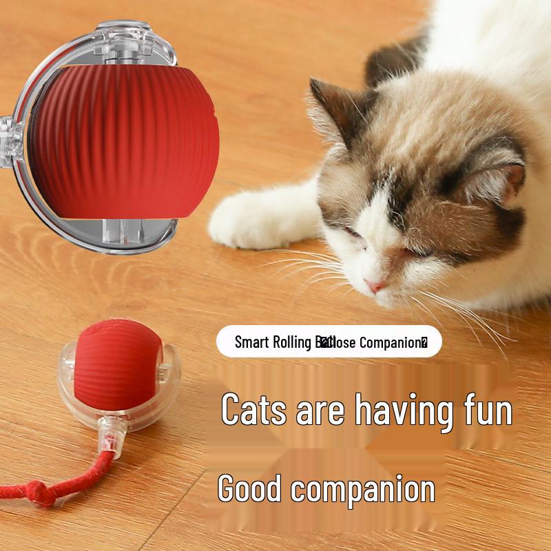 Interactive Bouncy Rope Ball Cat Toy: Bite-Resistant, Self-Amusement, and Boredom Relief Teaser