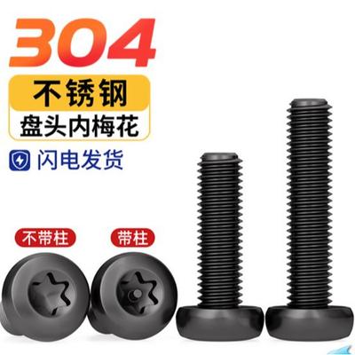 Black Zinc-Plated 304 Stainless Steel Tamper-Proof Torx Screws: Round Head Pan Head (M2-M6)